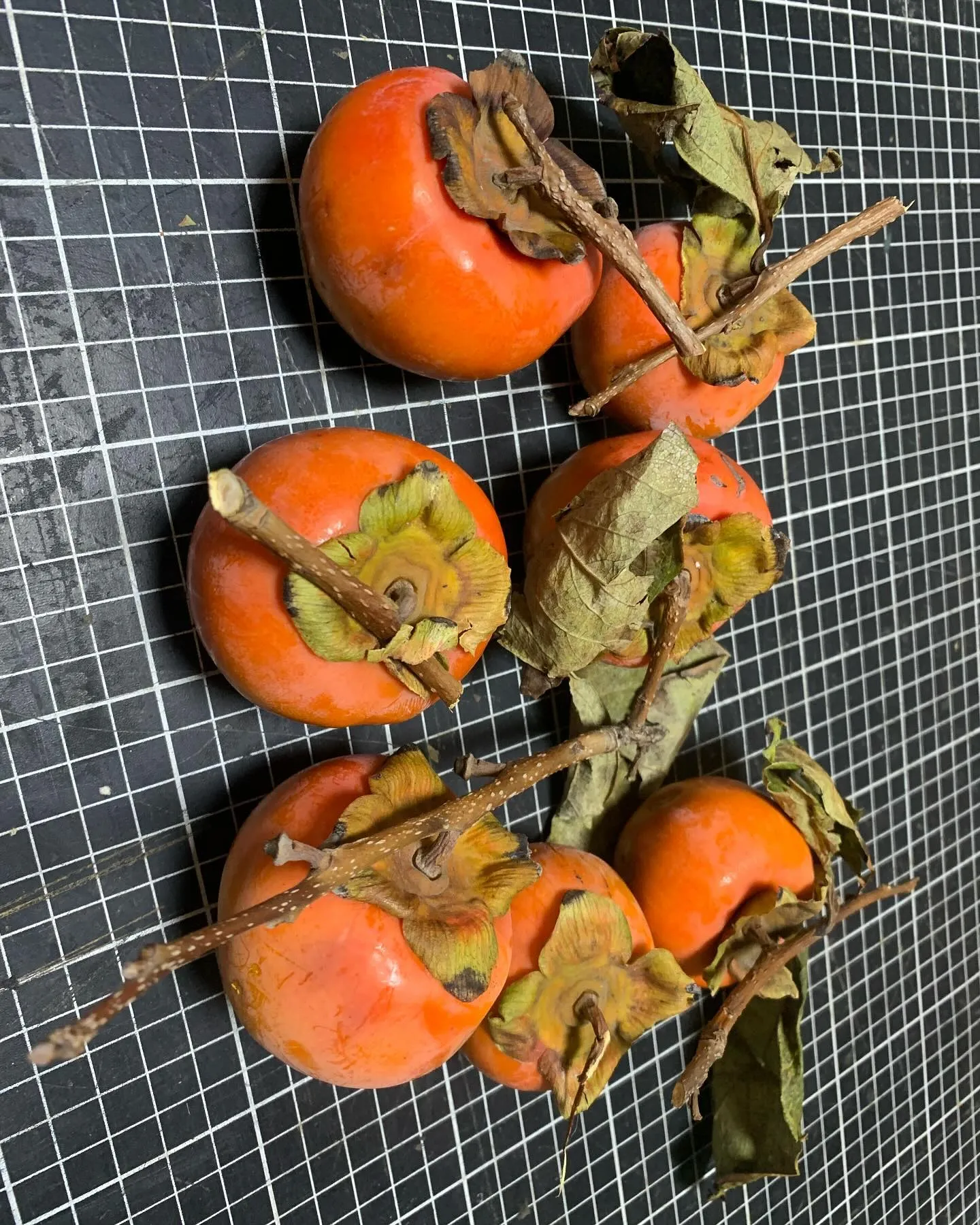 お客様からのいただきもの！